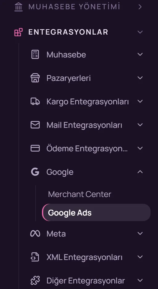 Sol menüde Google ve Google Ads seçimi