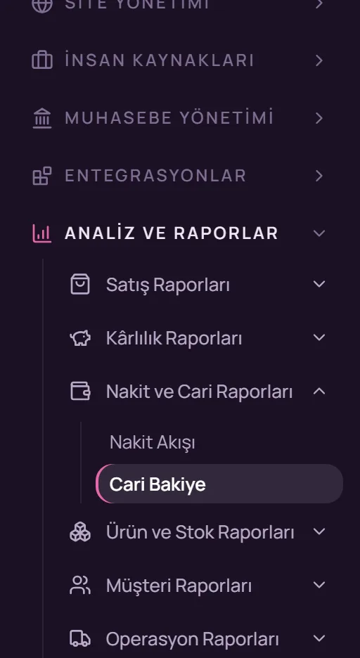 Sol menüde Analiz ve Raporlar, Nakit ve Cari Raporları, Cari Bakiye seçimi