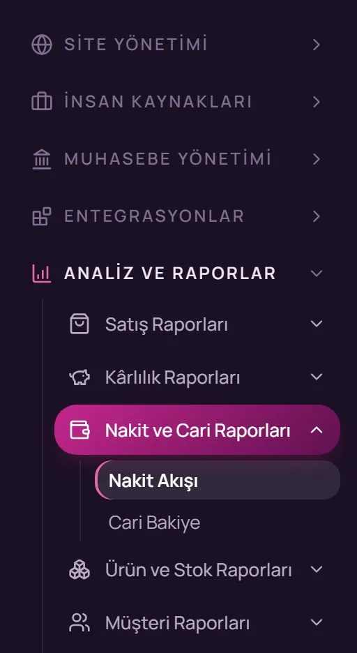 Sol menüde Analiz ve Raporlar, Nakit ve Cari Raporları, Nakit Akışı seçimi